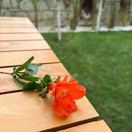 Luna 阿拉恰特