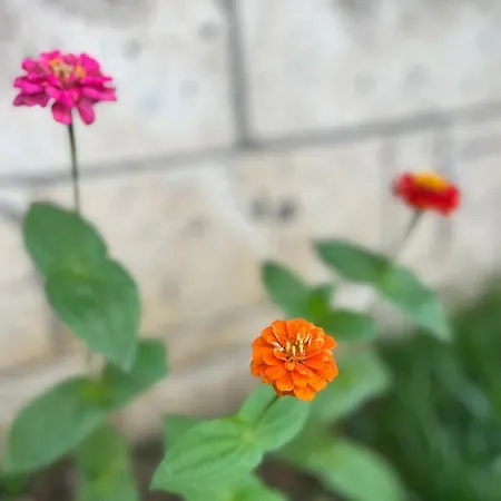 Luna Bed and breakfast Alaçatı