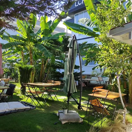 Alojamento de Acomodação e Pequeno-almoço Luna