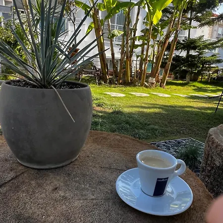 Alojamento de Acomodação e Pequeno-almoço Luna Alacati