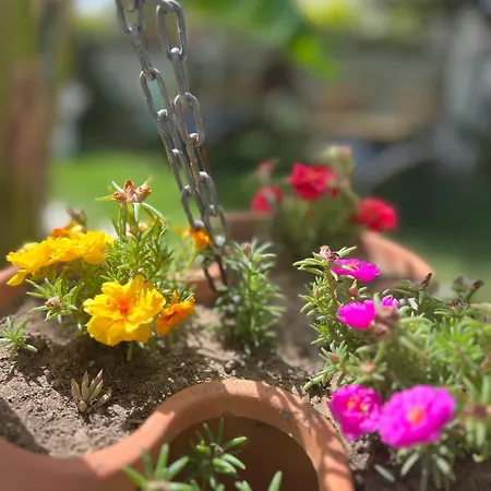 Alojamento de Acomodação e Pequeno-almoço Luna 4*