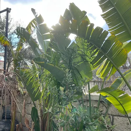 Luna Bed and breakfast 4*