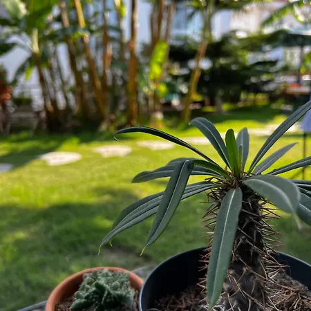 Luna Bed and breakfast Alaçatı