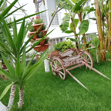 Bed and breakfast Luna Alaçatı