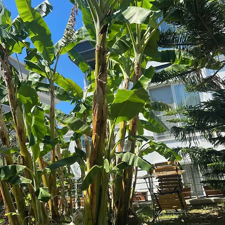 Bed and breakfast Luna Alaçatı