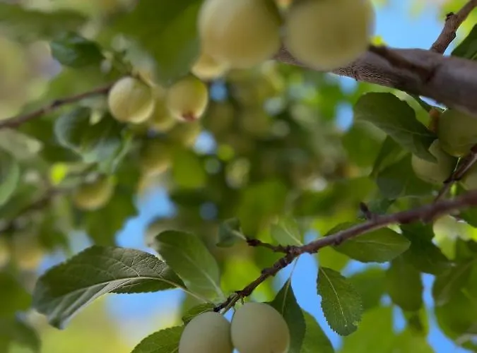 Luna 4* Alacati