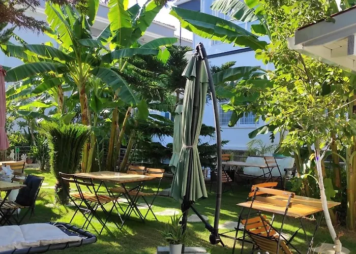 Bed & Breakfast Luna