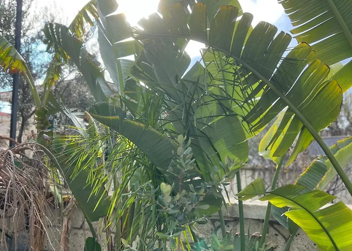 Luna Bed & Breakfast 4*