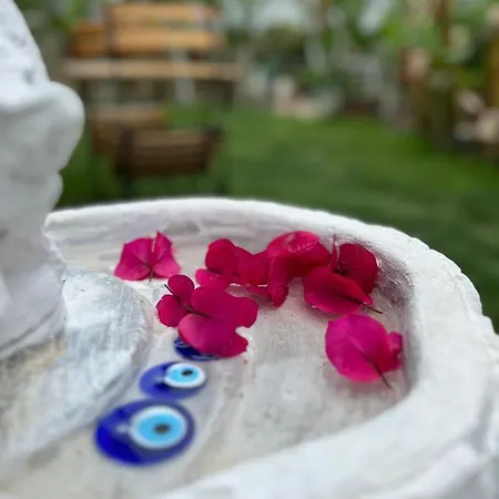Bed & Breakfast Luna Alacati
