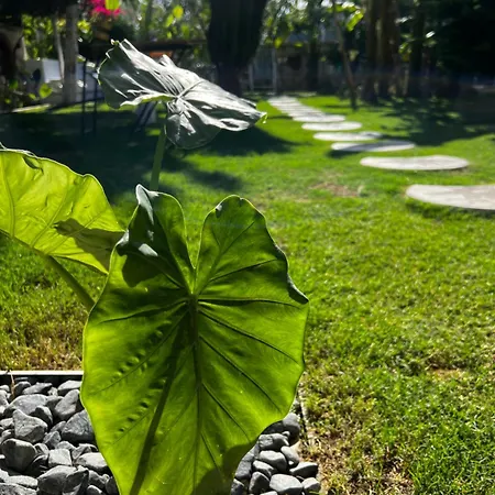 Couette-café Luna Alaçatı