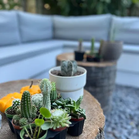 Luna Couette-café 4*