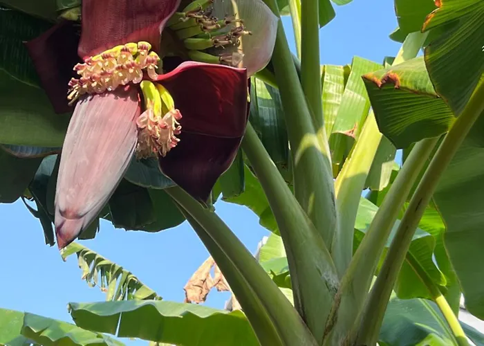 Bed & Breakfast Luna 4*