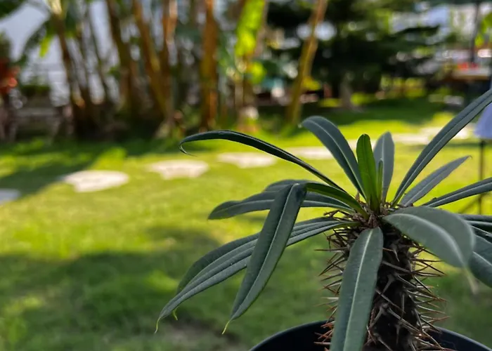 Luna Bed & Breakfast Alaçatı