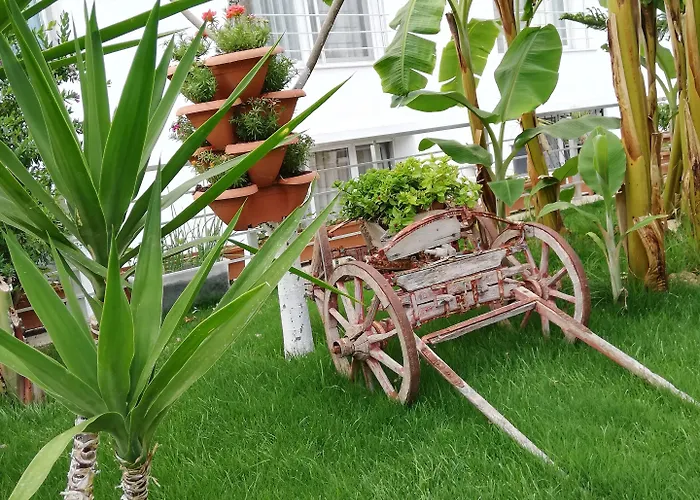 Bed & Breakfast Luna Alaçatı