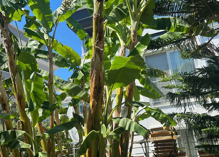 住宿加早餐酒店 Luna 阿拉恰特