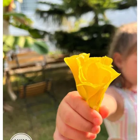 Frühstückspension Luna 4*
